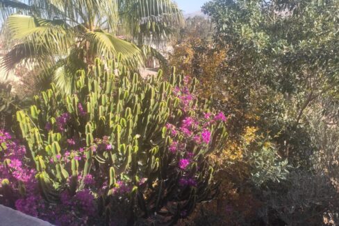 WhatsApp Image 2025-09-16 at 08.47.36