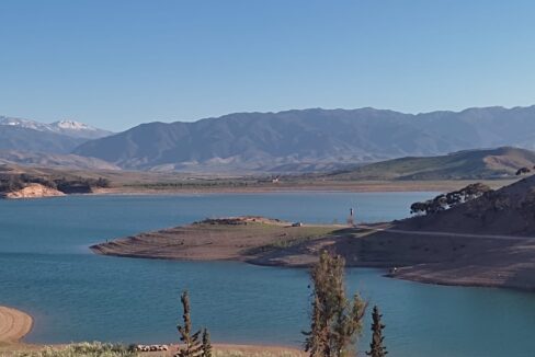 WhatsApp Image 2025-09-16 at 08.47.36 (5)