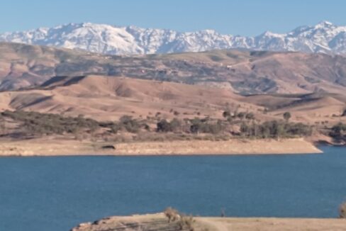 WhatsApp Image 2025-09-16 at 08.47.36 (6)