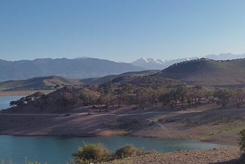 WhatsApp Image 2025-09-16 at 08.47.37